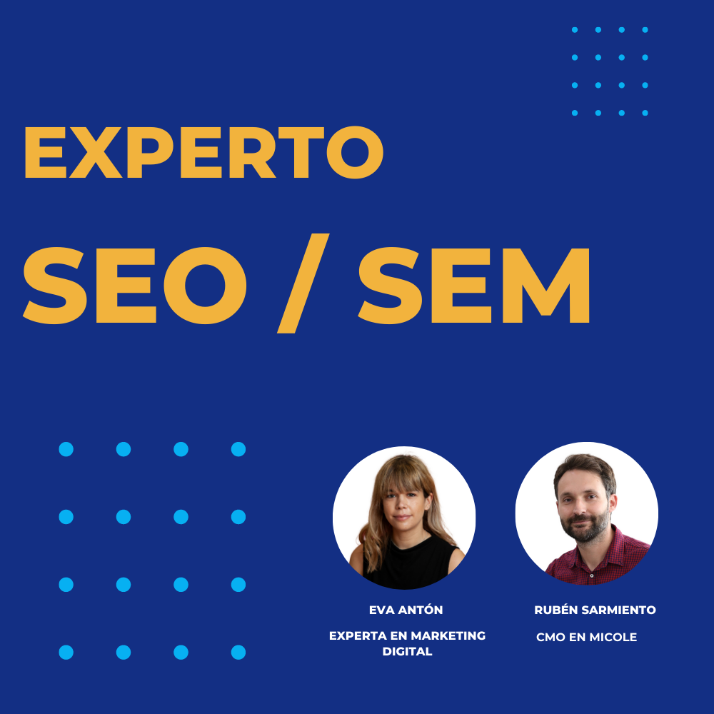 seo-sem